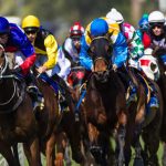 2023 Melbourne Cup Form Guide: Tips & Predictions