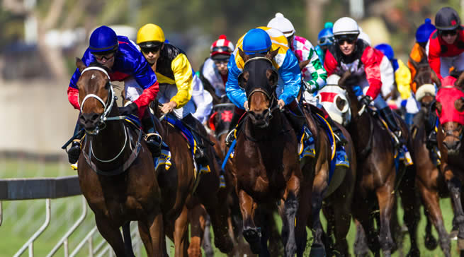 2023 Melbourne Cup Form Guide: Tips & Predictions