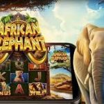 African Elephant Slots