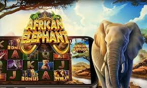 African Elephant Slots