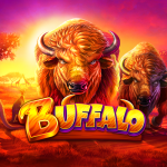 Buffalo Slots